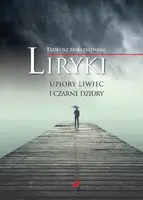 Okładka: Liryki, upiory liwiec i czarne dziury