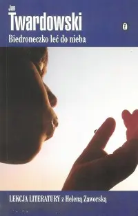 Okładka: Biedroneczko leć do nieba