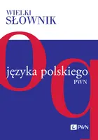 Okładka: Wielki słownik języka polskiego. Tom 3
