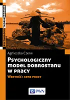 Okładka: Psychologiczny model dobrostanu w pracy. Wartość i sens pracy