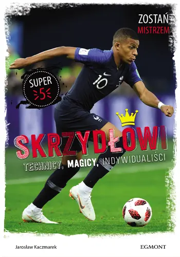 Okładka: Skrzydłowi. Technicy, magicy, indywidualiści