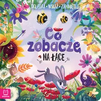 Okładka: Co zobaczę na łące. Oglądaj, wskaż, zapamiętaj