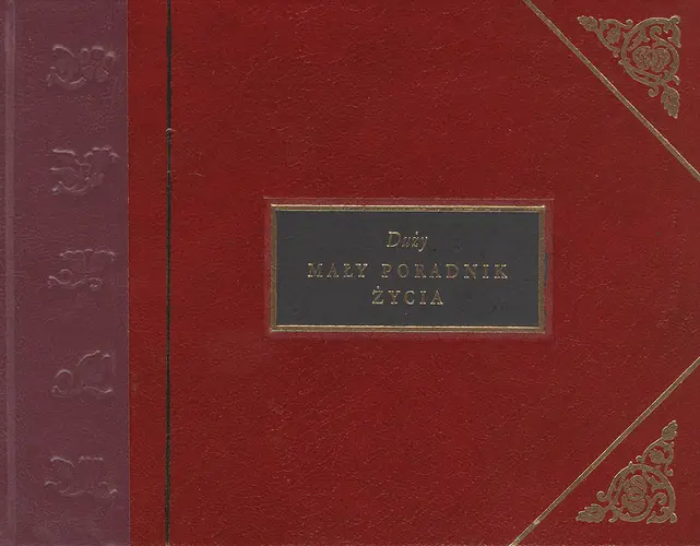 Okładka: Duży mały poradnik życia