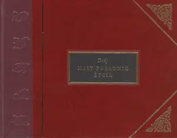 Okładka: Duży mały poradnik życia