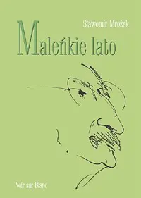 Okładka: Maleńkie lato