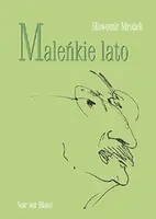Okładka: Maleńkie lato