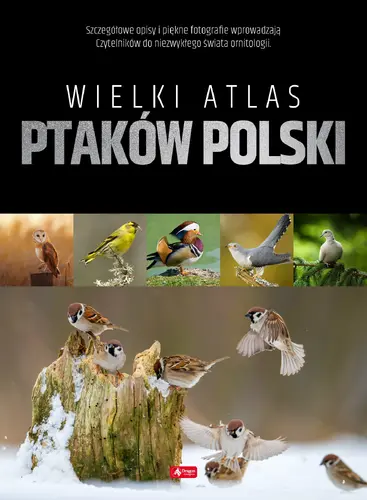 Okładka: Wielki atlas ptaków Polski