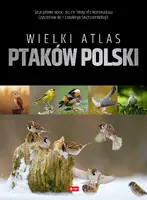Okładka: Wielki atlas ptaków Polski