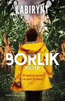 Okładka: Labirynt